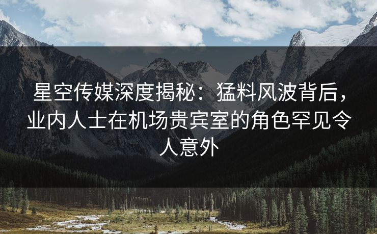 星空传媒深度揭秘：猛料风波背后，业内人士在机场贵宾室的角色罕见令人意外