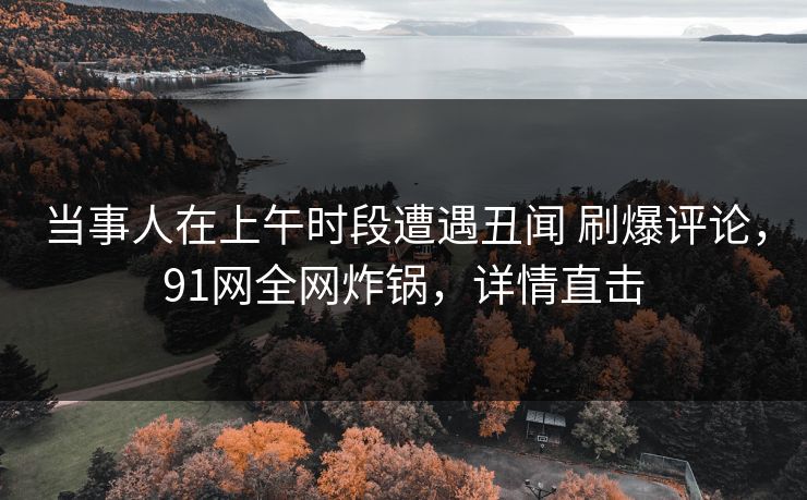 当事人在上午时段遭遇丑闻 刷爆评论，91网全网炸锅，详情直击