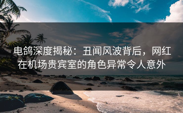 电鸽深度揭秘：丑闻风波背后，网红在机场贵宾室的角色异常令人意外