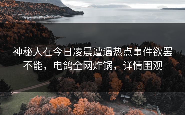 神秘人在今日凌晨遭遇热点事件欲罢不能，电鸽全网炸锅，详情围观