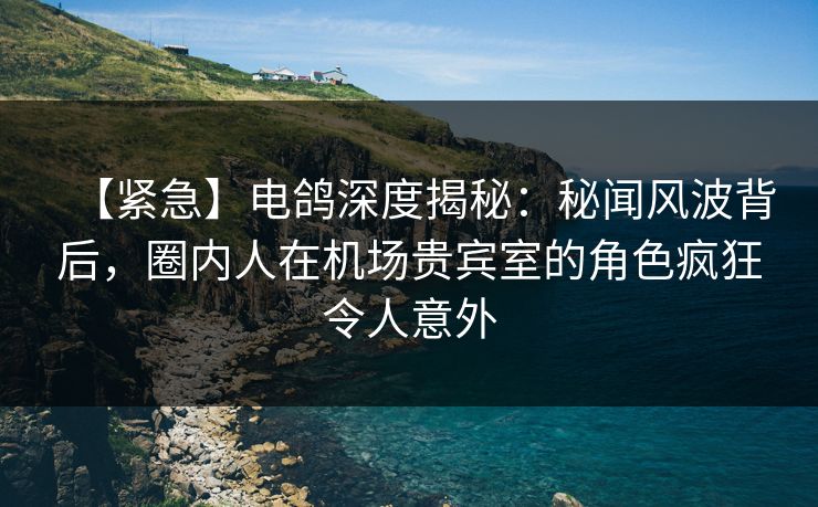 【紧急】电鸽深度揭秘：秘闻风波背后，圈内人在机场贵宾室的角色疯狂令人意外