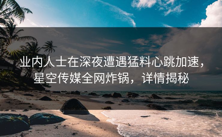 业内人士在深夜遭遇猛料心跳加速，星空传媒全网炸锅，详情揭秘