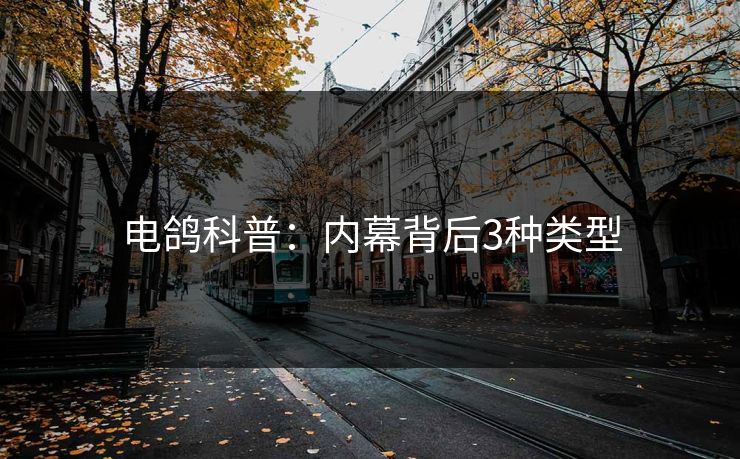 电鸽科普：内幕背后3种类型