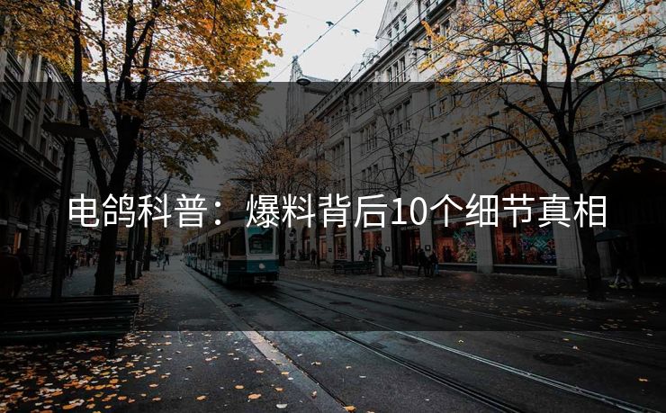电鸽科普：爆料背后10个细节真相