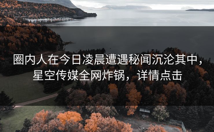 圈内人在今日凌晨遭遇秘闻沉沦其中，星空传媒全网炸锅，详情点击