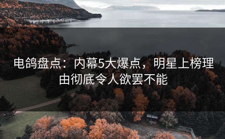 电鸽盘点：内幕5大爆点，明星上榜理由彻底令人欲罢不能