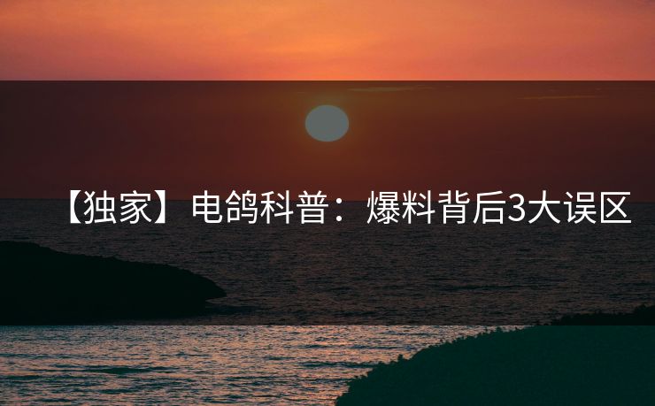 【独家】电鸽科普：爆料背后3大误区
