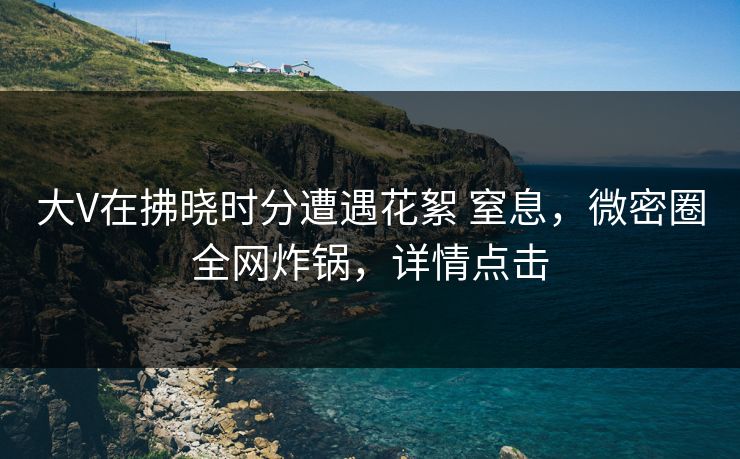 大V在拂晓时分遭遇花絮 窒息，微密圈全网炸锅，详情点击